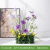 Caja de Flores de Planta Verde Simulada Hc-Bz3/Hc-Cr7 para Exhibición, Adornos Decorativos, Escaparate, Decoración de Paisajismo Floral Artificial