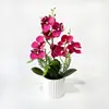 Novo Vaso Vertical 9 Orquídeas Phalaenopsis Plantas em Vasos Fotografia Vestido de Noiva Fundo de Foto Plantas Artificiais em Vasos Decorações de Simulação para Desktop