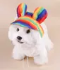 Boné de Baseball para Pet Amazon Acessórios para Cachorro Boina para Pet Chapéu de Pato de Pelúcia Chapéu de Sol para Pet