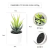 Más de 100 Tipos de Combinaciones de Plantas Suculentas Mini de Plástico Simuladas en Maceta, Mini Bonsáis Suculentos Más Vendidos Transfronterizos, Decoración para el Hogar, Adornos Creativos