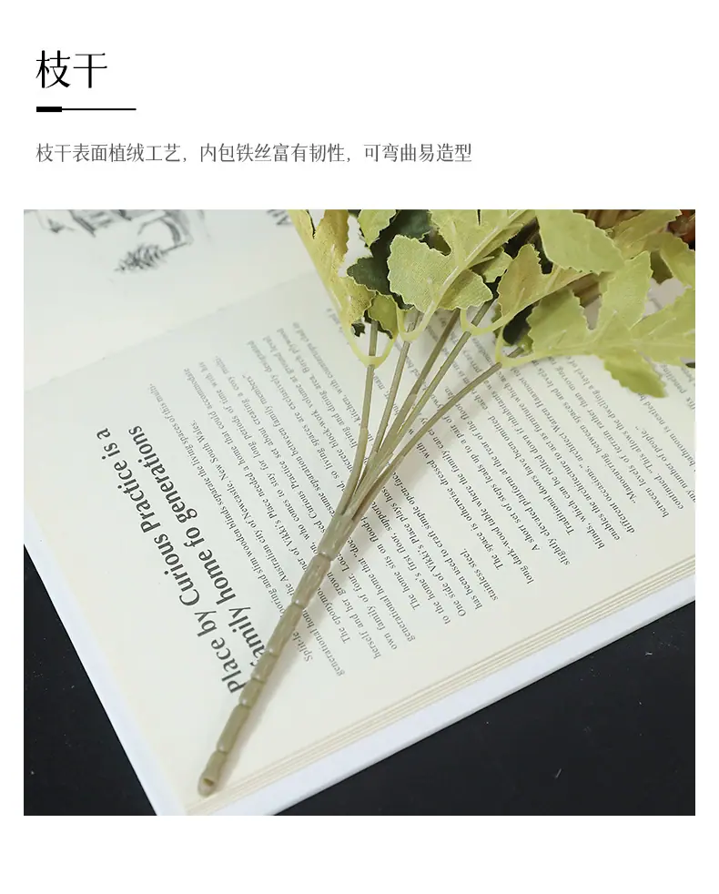秋色5头小把束球菊_12.jpg