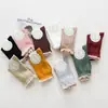 Fujioka otoño e invierno nuevos calcetines para mujer calcetines de encaje calcetines de algodón para dama mayoristas fabricantes de calcetines al por mayor
