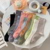Meias de Cor Pura Estilo Morandi para Mulheres Meias Finas de Confinamento Meias de Cano Médio Estilo Japonês Cor Pura Simples Meias Felpudas
