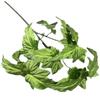 12 peças de folhas de begônia grandes folhas de plantas verdes decorações para casa simulação folhas de taro casamento planta verde decoração de casa atacado
