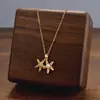 Comercio Exterior de Amazon Venta Caliente Collar de Acero de Titanio Temperamento Femenino Circonita Microincrustada Personalidad Cadena para Clavícula de Alto Sentido Colección Joyería