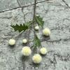 Simulación verde de una pequeña bola de cebolla, nueva bola de cebolla verde de 7 piezas, bola blanca y roja, decoración de paisaje suave para bodas, lote de flores falsas.
