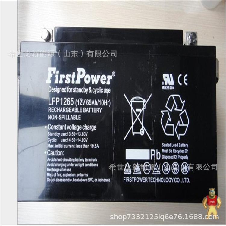 12v65AH1.jpg