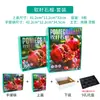 Granada de Semilla Suave Caja de Regalo Universal Caja de Embalaje Estampado en Caliente Tunecina Caja de Regalo de Fruta de Alta Gama 6 Piezas 8 Piezas 9 Piezas Cartón Vacío