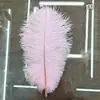 Ponto 20-25cm cor pena de avestruz pena de avestruz flor de arranjo DIY pena