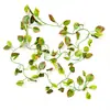 Caja Rastreadora Árbol Enredadera Rama Lagarto Escalada Paisaje Hiena Verde Escalada Mascota Escalada Productos para Mascotas Planta Falsa 1 cm de Grosor