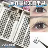 Pestañas Postizas de Gran Volumen, Libro de Pestañas, Ojos de Manga Suaves e Inocentes, Elegantes y Limpios, Simples y Puros, con un Sentido de Deseo