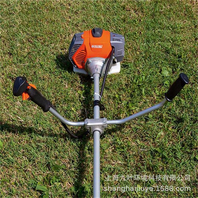 997f7a9aed58afa946664372b94f2e