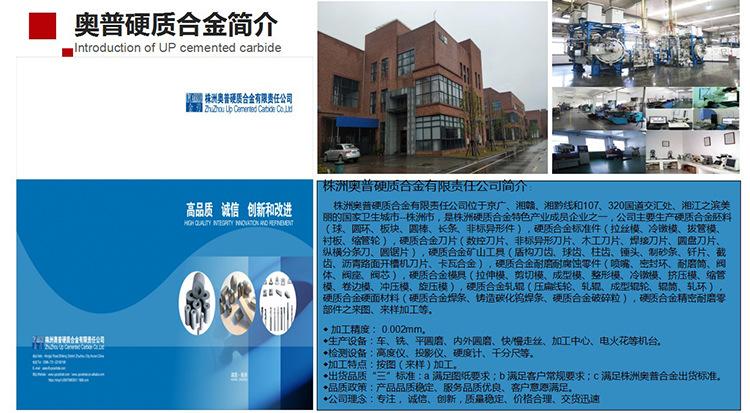 1243X668公司介绍 拷贝