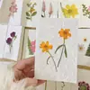 Flores reales flores prensadas tarjetas de felicitación de flores prensadas con tema de bosque, tarjetas de votos, tarjetas, regalos florales, marcapáginas, tarjetas de presentación, tarjetas de invitación y artículos decorativos
