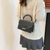 Bolso de Mano Cuadrado Pequeño de Moda y Sencillo para Mujer 2025 Otoño Nuevo Bolso de Hombro de Nicho Elegante Bolso Cruzado para Viajes