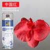 Spray de flores color floral azul hielo ramo flor seca tinte floristería especial color para pintar uno mismo material spray BD