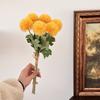 6 Dientes de León Escritos a Mano Bola de Pelo de Plástico Flor de Simulación de Cebolla Flor Falsa Decoración para el Hogar Fotografía de Boda Ramo de Flores para Sostener