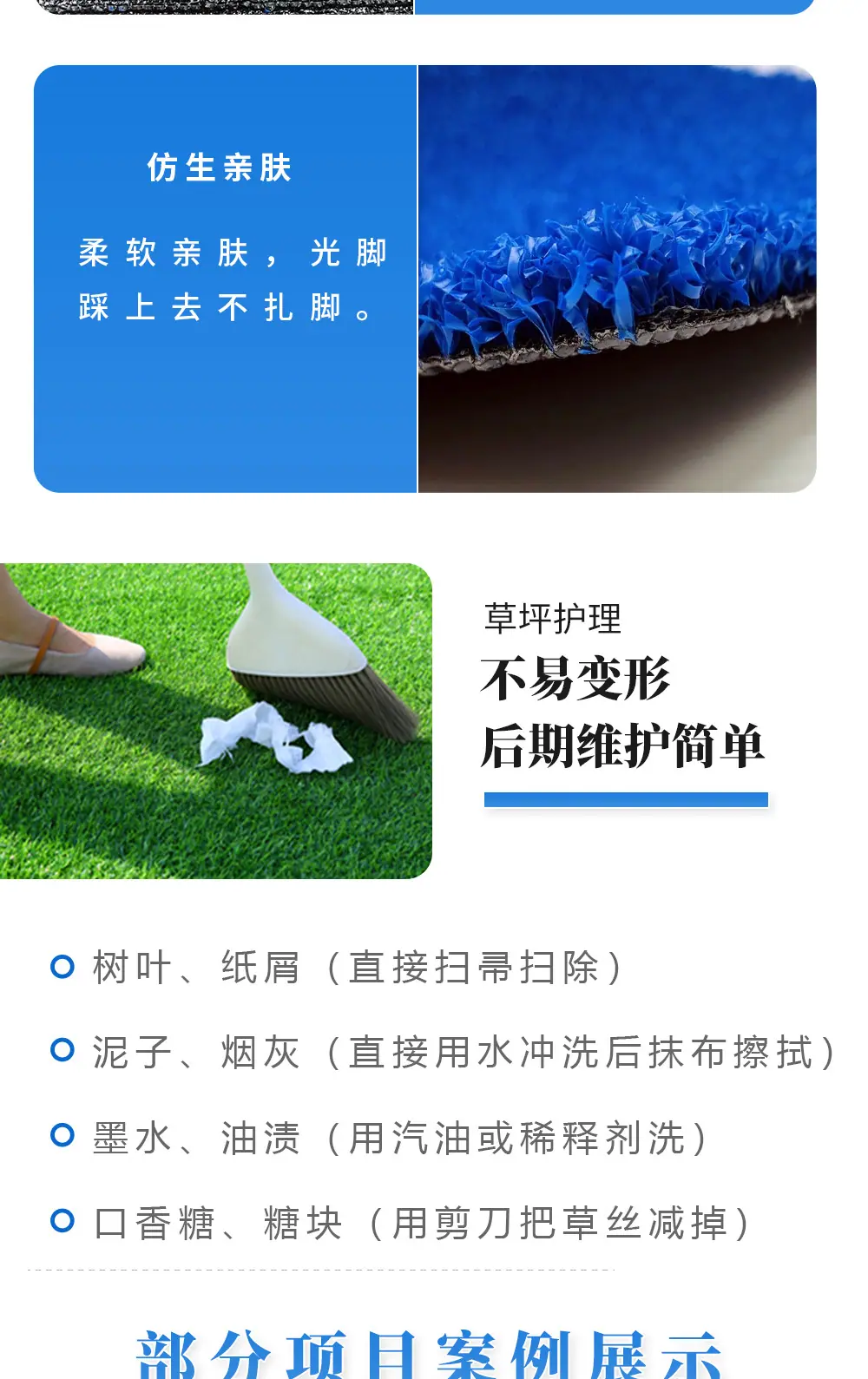 蓝色网球草_05.jpg