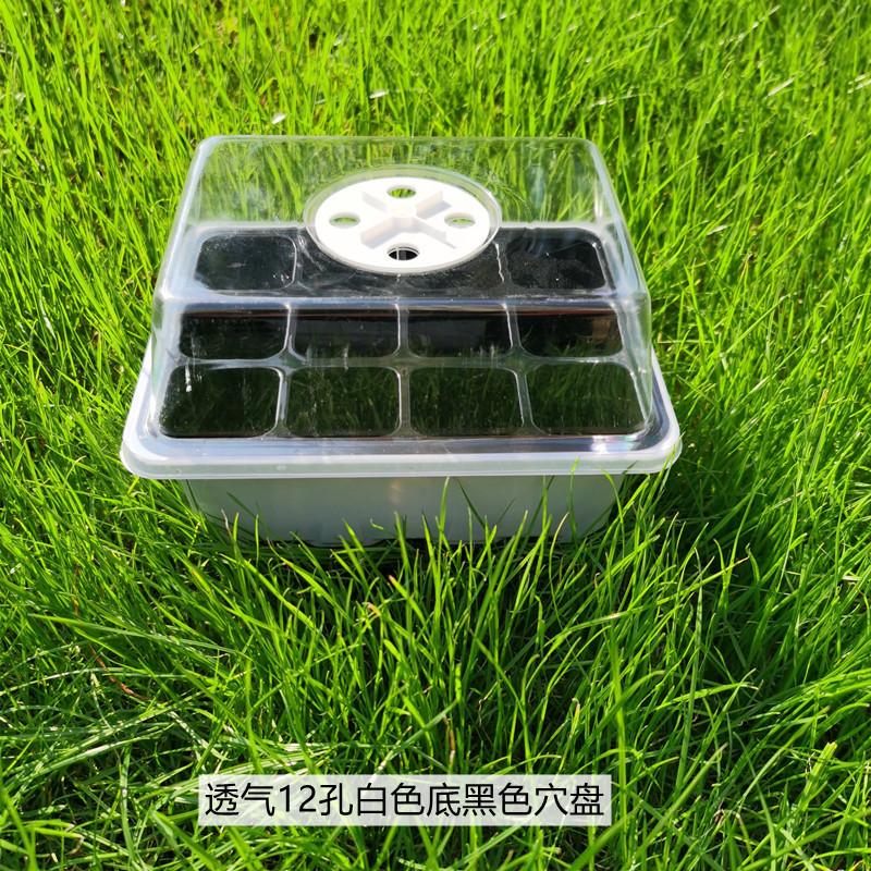 透气12孔白色底黑色穴盘