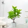 Estilo Nórdico Transfronteiriço Textura de Filme Artificial Folha de Simulação Planta Verde Folha Olho de Gato Árvore da Borracha Decoração de Mesa para Casa Paisagismo