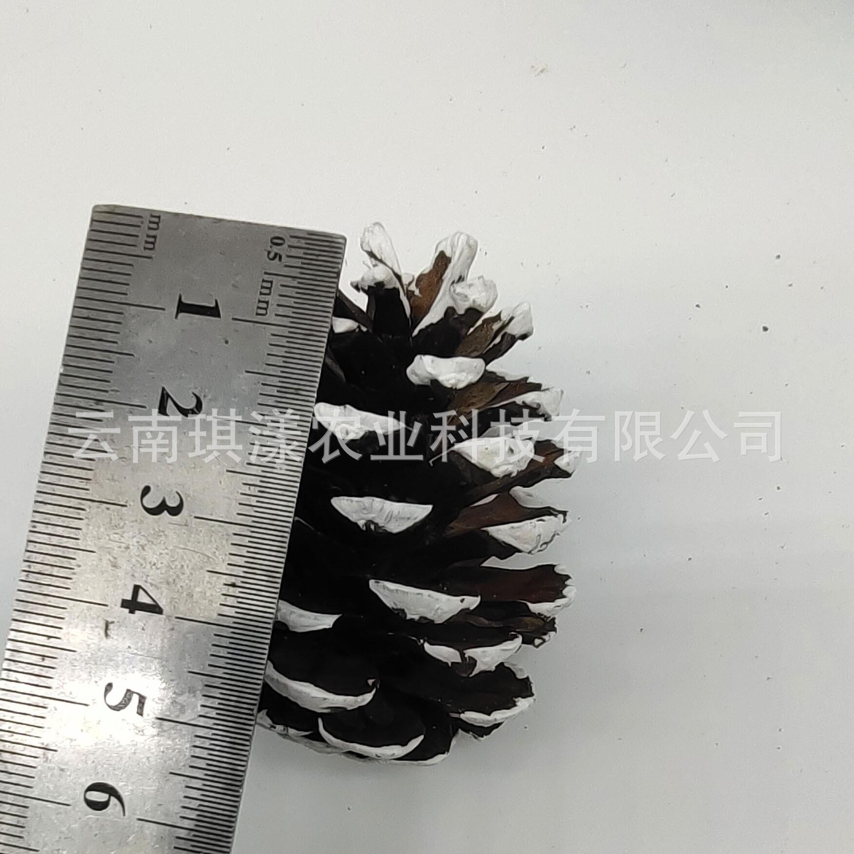 微信图片_20201016103510.jpg