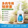 Suculenta (Elemento Especial Curto e Robusto para Suculentas) - Previne Estiolamento e Controla o Crescimento Excessivo Solução Nutritiva - Universal para Melhoria da Cor de Suculentas e Encurtamento de Mudas Fortes