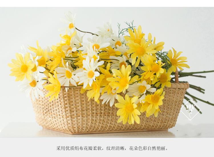 荷兰菊4.jpg