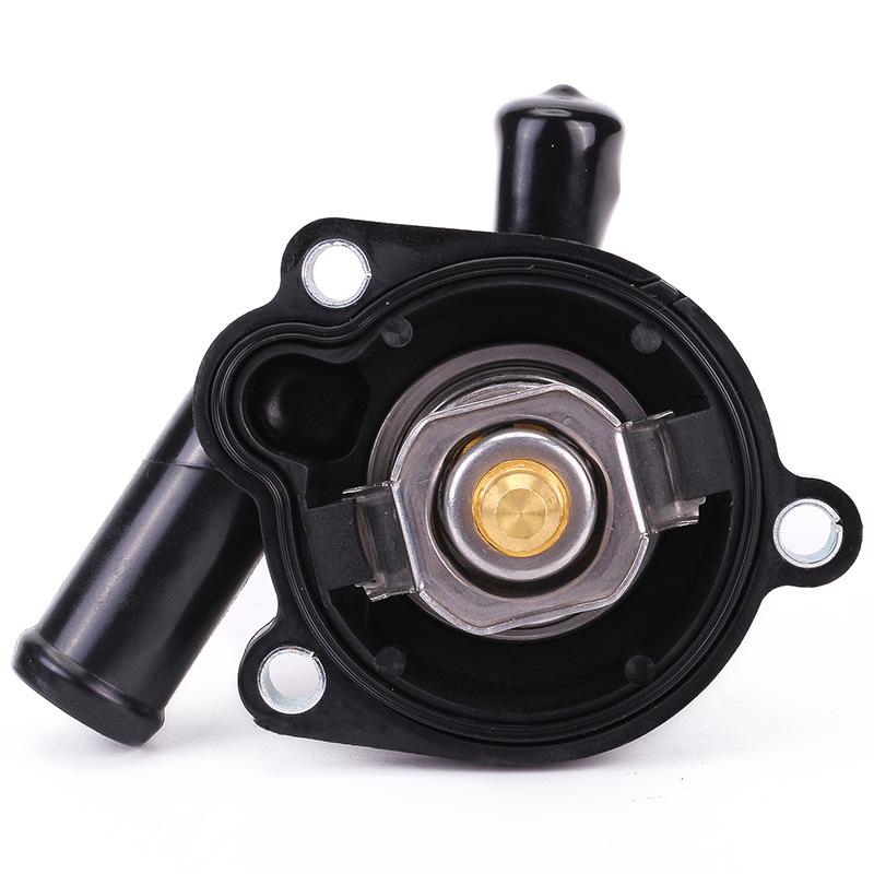 55565336-55579010--3