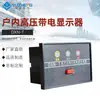 Yucheng Dxn-T Dispositivo Indicador de Bloqueo Monitor en Vivo de Alto Voltaje para Interiores Dxn1-Q Cuchillo para Exteriores Impermeable