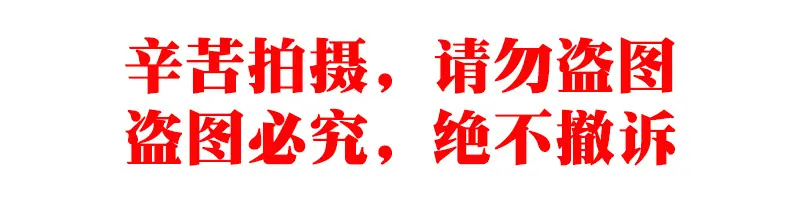 盗图警告