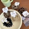 Nueva Cuerda de Cabeza Ondulada Color Marrón Leche Temperamento Sencillo Goma Elástica Cuerda para el Cabello Elástica Anillo Básico de Alta Calidad para el Cabello para Mujeres