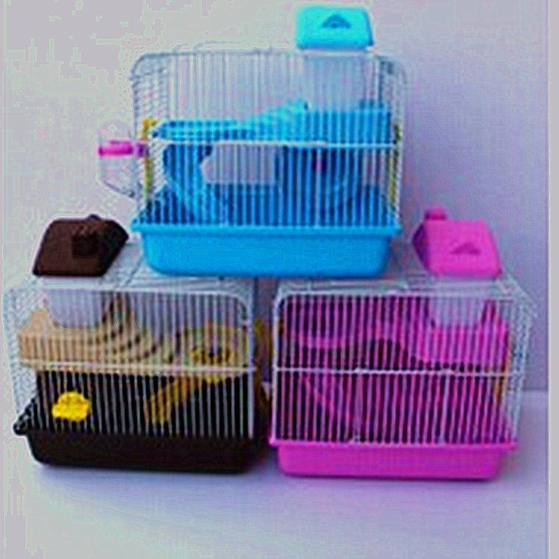 图片20220815184109