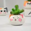 Animal de Caricatura Gato Colorido Expresión Maceta para Guardería Hoja Suculenta Maceta de Inserción Jardinería de Escritorio Maceta Pulgar para Plantas Verdes