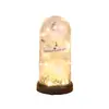 Flor Artificial Transfronteriza Flor de Jabón Flor de Rosa Lámpara de Vidrio Luminosa Adorno Regalo para Niñas