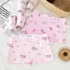 Ropa Interior Infantil, Calzoncillos tipo bóxer de Algodón para Hombre y Mujer, Estampado de Dibujos Animados, Calzoncillos tipo bóxer para Niños Pequeños, Medianos y Grandes, Shorts, Entrepierna de Algodón al por Mayor