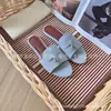 Entrega Direta da Fábrica Lp Clássico Slip-On Sapatos de Camurça Planos Chinelos Casuais Modelo Novo 2025 Sapatos Preguiçosos Loafers