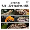 Purê de frutas dietético para lagartos, pó de purê de frutas para dragões-barbudos, pó de frutas nutritivo, alimento para dragões-leões, purê de frutas para geckos