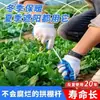 Suporte de Arco de Shed em PRFV Anticongelante Neve Campo de Vegetais Proteção Solar Estrutura de Estufa Venda por Atacado Viveiro Sólido de Mudas Jardim de Flores Galpão de Plantio de Gengibre Poste