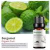 Exportación Transfronteriza Aceite Esencial Individual Fragancia Aromaterapia Masaje Aceite Esencial Sándalo Difusor Mayoreo Muestra de 10 ml