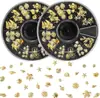 Joyería para Uñas Transfronteriza Remaches Metálicos Serie Océano Conchas de Estrella Remaches Dorados Plateados Disco de 12 Compartimentos Venta al Por Mayor