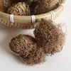 Selaginella Selvagem de Yunnan Medicina Herbal Chinesa 500g Selecionado Natural Sem Enxofre Erva Ressurreição Nove-Mortes Medicina Herbal Chinesa Huan Yang Cao Autêntico