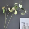 Simulación Planta Hoja de Begonia de 2 Puntas Material de Hoja Modelo Nórdico para el Hogar Habitación de Modelo Hotel Boda Diseño Decoración Arreglo Floral Al por Mayor