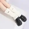 Calcetines Tobilleros Dorados Personalizados de Punto Grueso para Mostrar Piernas, Cubre Piernas, Versátil y de Moda, Versión Mejorada Elástica Plus
