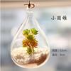 Jarrón de Vidrio Colgante Creativo Plantas Suculentas Simuladas en Maceta Flores Artificiales Decoración para Sala de Estar en Casa Adornos Colgantes Figuras Artesanías