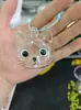Lindo Colgante de Almacenamiento de Cabeza de Gato Grande, Caja Creativa Transparente para Guardar Pelo de Gato, Colgante de Almacenamiento de Gato Extra Grande