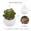 Más de 100 Macetas Cerámicas Populares de Amazon con Combinaciones de Plantas Suculentas Artificiales, Bonsái de Suculentas Falsas de Estilo Fresco Creativo