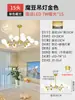 Lustre de Sala de Estar de Luxo Leve Nórdico Moderno Simples Criativo Lâmpada Feijão Mágico Quarto Principal Sala de Jantar Iluminação Zhongshan 2026 Novo Estilo