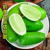 Semilla de Perfume de Guangdong Limón Verde Sin Semillas Fresco de Hainán Fruta Fresca Recién Cogida Limón Verde Pequeño de Piel Fina Tienda de Té con Leche 9