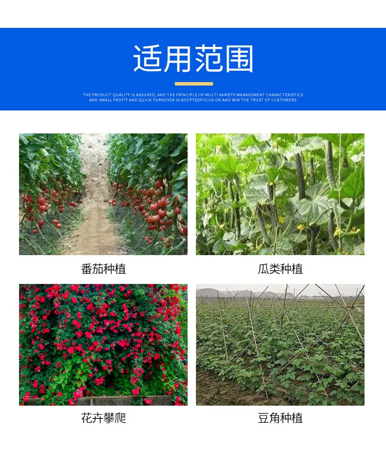 吊秧绳_09