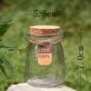 Jardinería DIY de suculentas creativas estilo coreano, botella ecológica de vidrio versátil, botella de los deseos con cuerda de corcho, tarjeta de papel